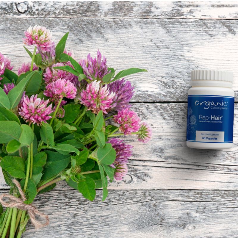Hair and Nail Supplements B-vitaminer